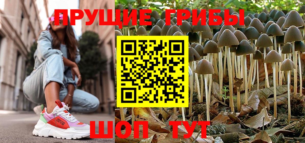 наркота  Галлюциногенные грибы MAGIC MUSHROOMS  Галлюциногенные грибы Cubensis  Вход с VPN  Ступино 